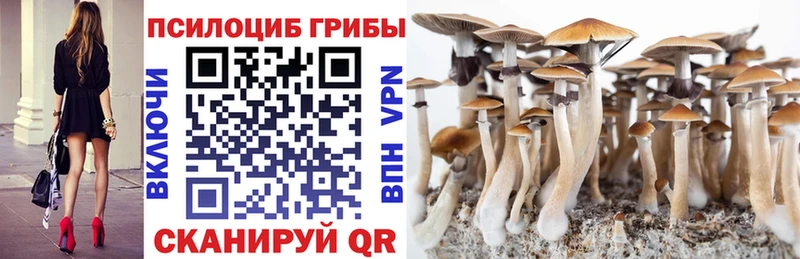 Галлюциногенные грибы MAGIC MUSHROOMS купить наркоту Георгиевск